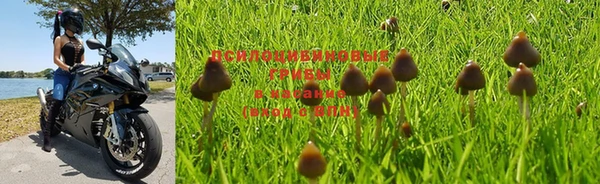 хмурый Бронницы