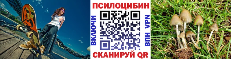 Галлюциногенные грибы Psilocybe  Бузулук 